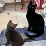 Mutter und Tochter